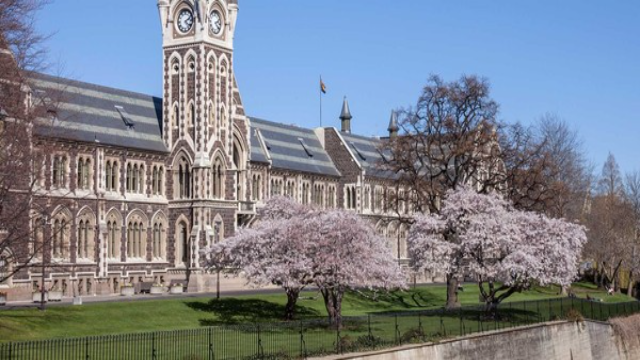 Universitas dengan Penampilan Estetik di Dunia